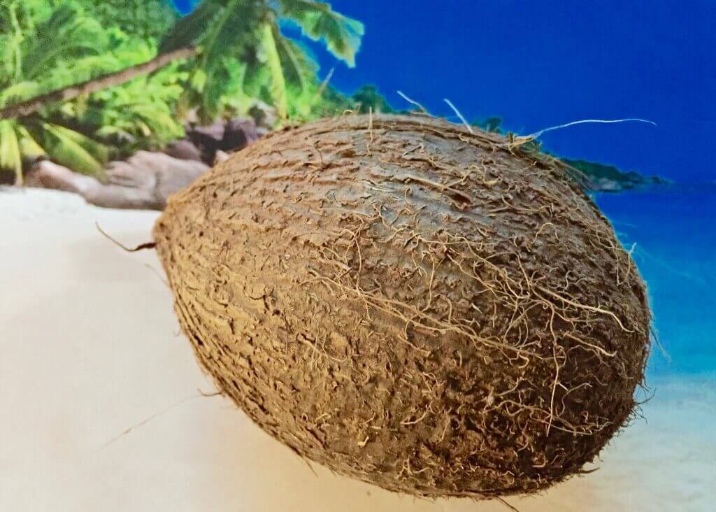 kokosnuss und pflege